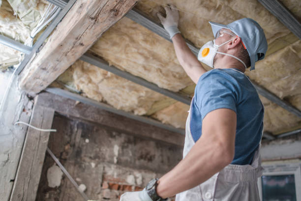 Professional Insulation Contractor in Vinita Park, MO