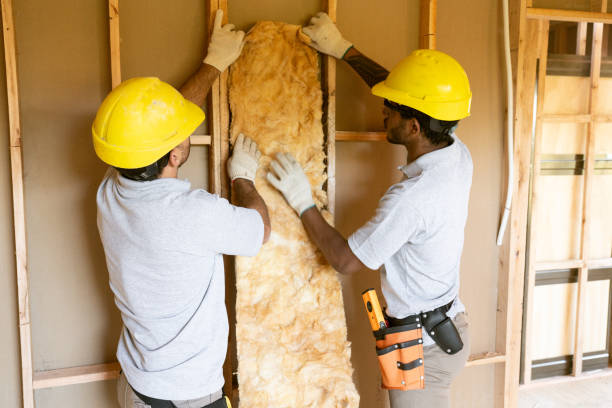Insulation Repair Services in Vinita Park, MO