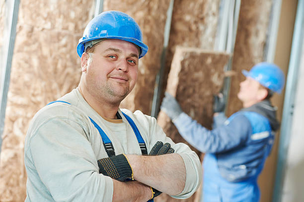 Best Fiberglass Insulation  in Vinita Park, MO