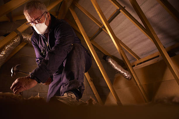 Best Residential Insulation Services  in Vinita Park, MO