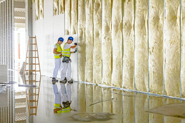 Best Affordable Insulation Services  in Vinita Park, MO